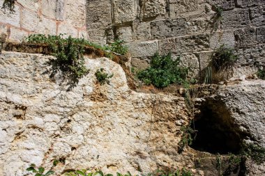 İsrail 'in Renkleri