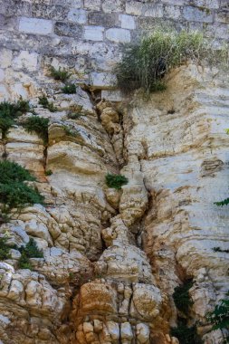 İsrail 'in Renkleri