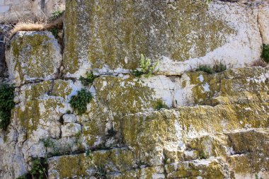 İsrail 'in Renkleri