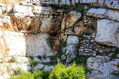 İsrail 'in Renkleri