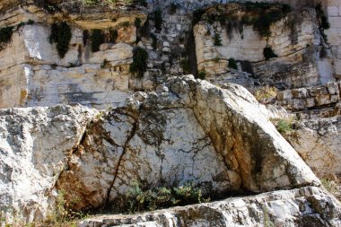 İsrail 'in Renkleri