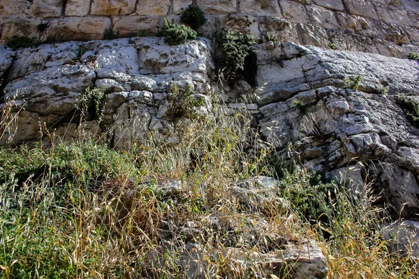 Die Farben Israels — Stockfoto