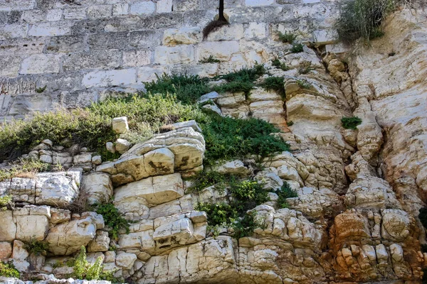 Kleuren van Israël — Stockfoto