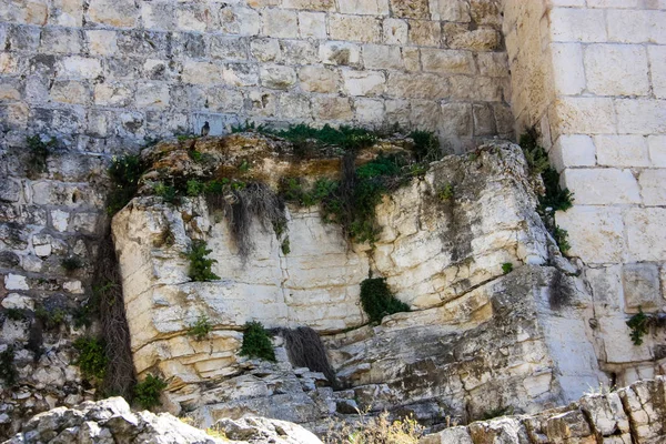 Colori di Israele — Foto Stock