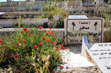 İsrail 'in Renkleri