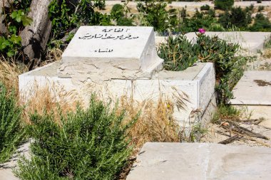 İsrail 'in Renkleri