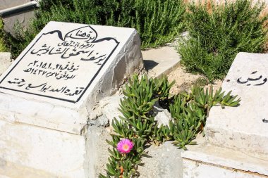 İsrail 'in Renkleri