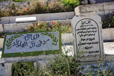 İsrail 'in Renkleri