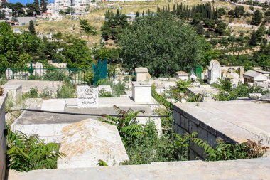 İsrail 'in Renkleri