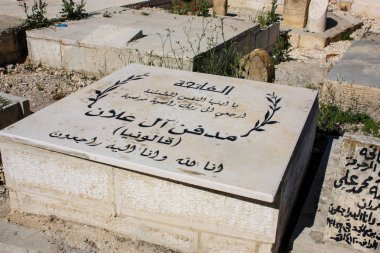 İsrail 'in Renkleri