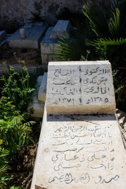 İsrail 'in Renkleri