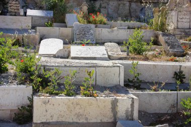 İsrail 'in Renkleri