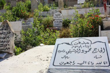 İsrail 'in Renkleri