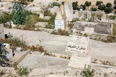 İsrail 'in Renkleri
