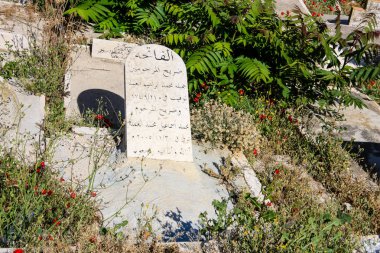 İsrail 'in Renkleri