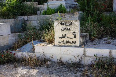 İsrail 'in Renkleri