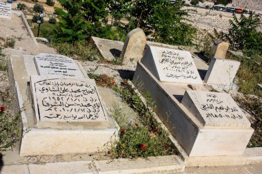 İsrail 'in Renkleri