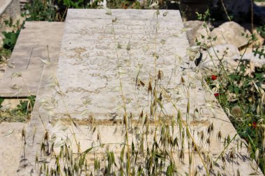 İsrail 'in Renkleri