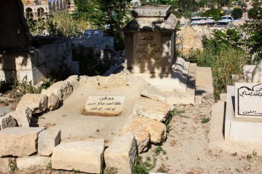 İsrail 'in Renkleri