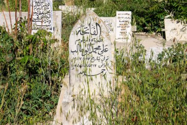 İsrail 'in Renkleri