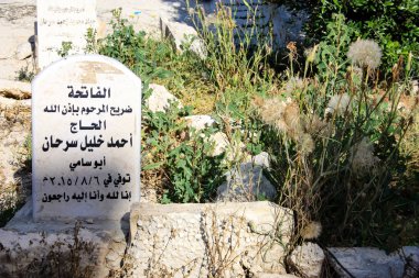 İsrail 'in Renkleri