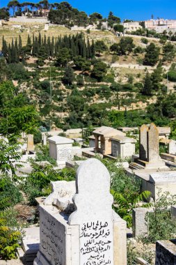 İsrail 'in Renkleri