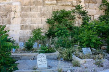 İsrail 'in Renkleri