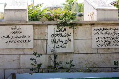 İsrail 'in Renkleri