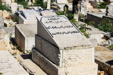 İsrail 'in Renkleri