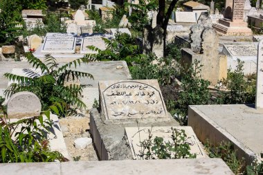 İsrail 'in Renkleri