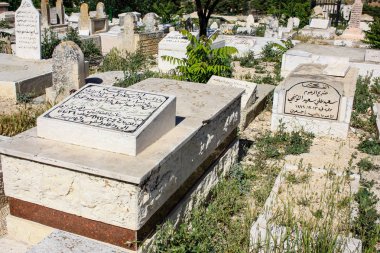 İsrail 'in Renkleri