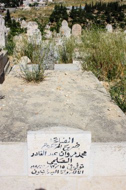 İsrail 'in Renkleri