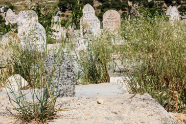 İsrail 'in Renkleri