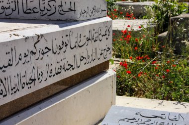 İsrail 'in Renkleri