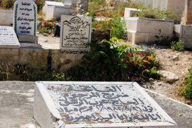 İsrail 'in Renkleri