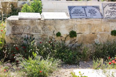 İsrail 'in Renkleri