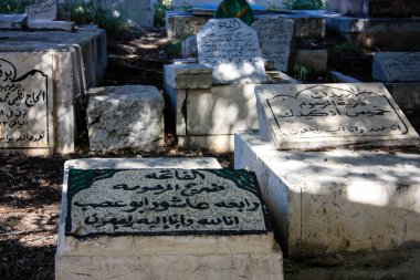 İsrail 'in Renkleri