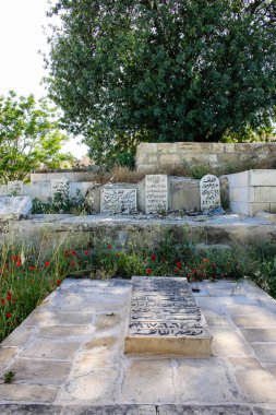 İsrail 'in Renkleri