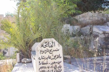İsrail 'in Renkleri