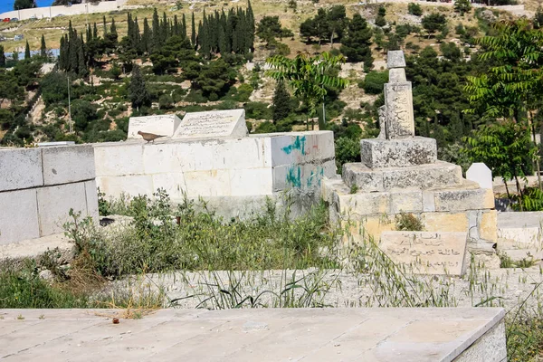 Colori di Israele — Foto Stock