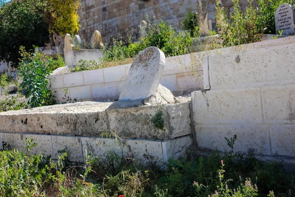 Cores de Israel — Fotografia de Stock