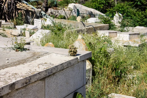 Kleuren van Israël — Stockfoto