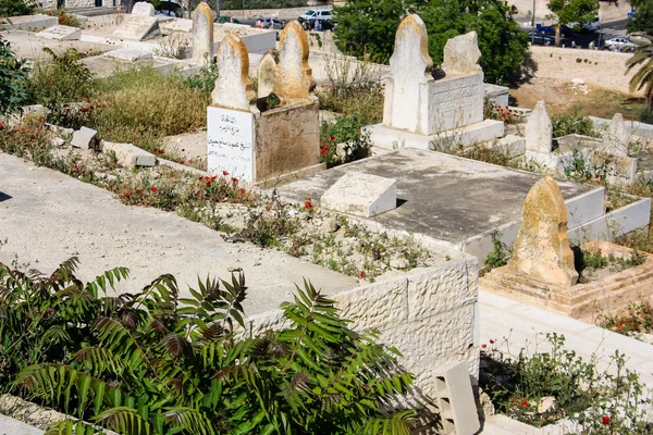 Colori di Israele — Foto Stock