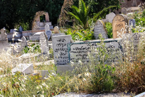 Barvy Izraele — Stock fotografie