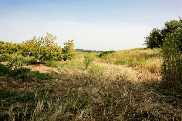 Natura Krajobraz Wokół Jerozolimy Izraelu — Zdjęcie stockowe