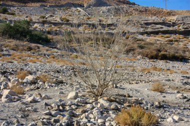 İsrail 'in Renkleri