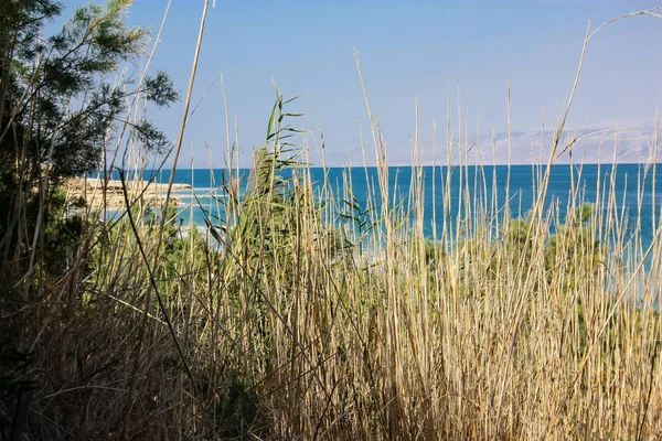 Die Farben Israels — Stockfoto