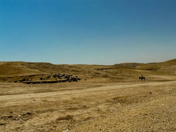 Couleurs d'Israël — Photo