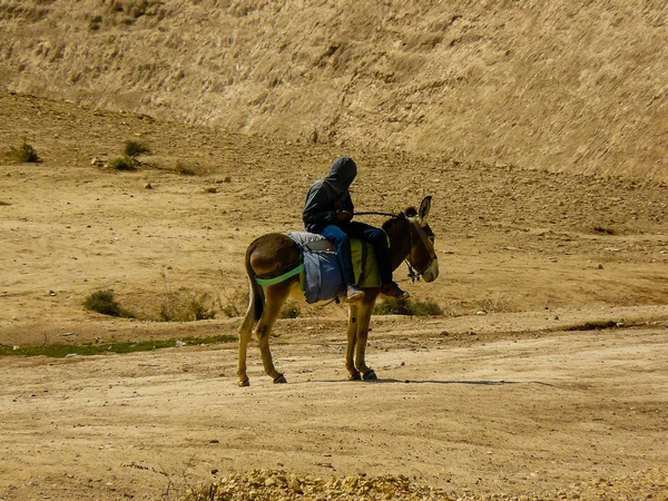 Colori di Israele — Foto Stock