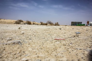 Negev Çölü İsrail içinde ağaç görünümü